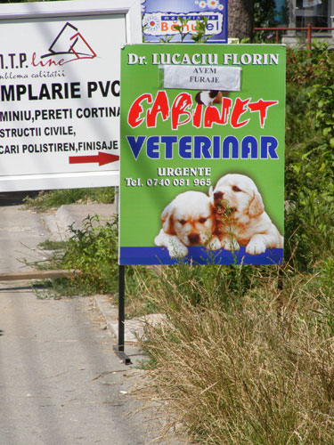 FOTO: Cabinet veterinar dr. Florin Lucaciu, Baia Mare